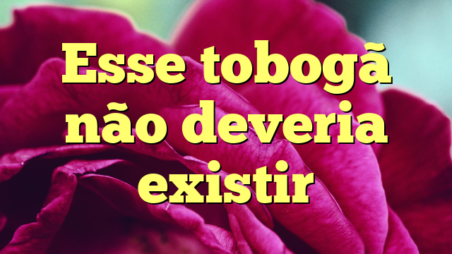 Esse tobogã não deveria existir