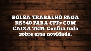 BOLSA TRABALHO PAGA R$540 PARA CPFs COM CAIXA TEM: Confira tudo sobre essa novidade.