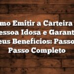Como Emitir a Carteira da Pessoa Idosa e Garantir Seus Benefícios: Passo a Passo Completo