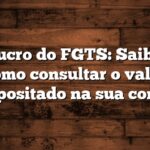 Lucro do FGTS: Saiba como consultar o valor depositado na sua conta